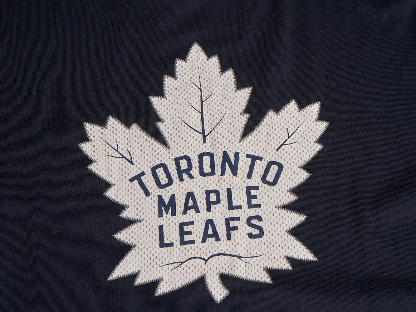 Футболка Торонто